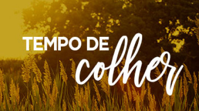 Tempo de Colher